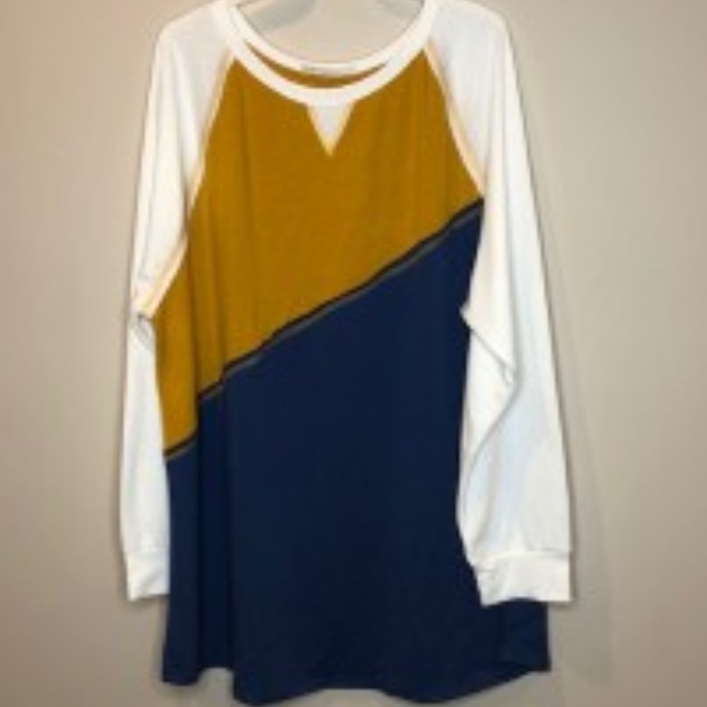 NWOT Color Blocked Tunic Top